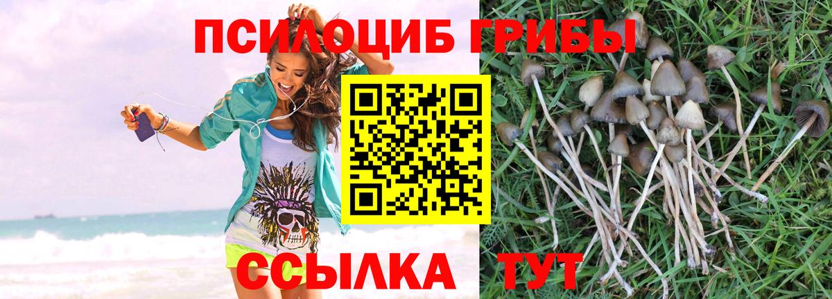Галлюциногенные грибы Magic Shrooms  Вход с VPN  Алейск 