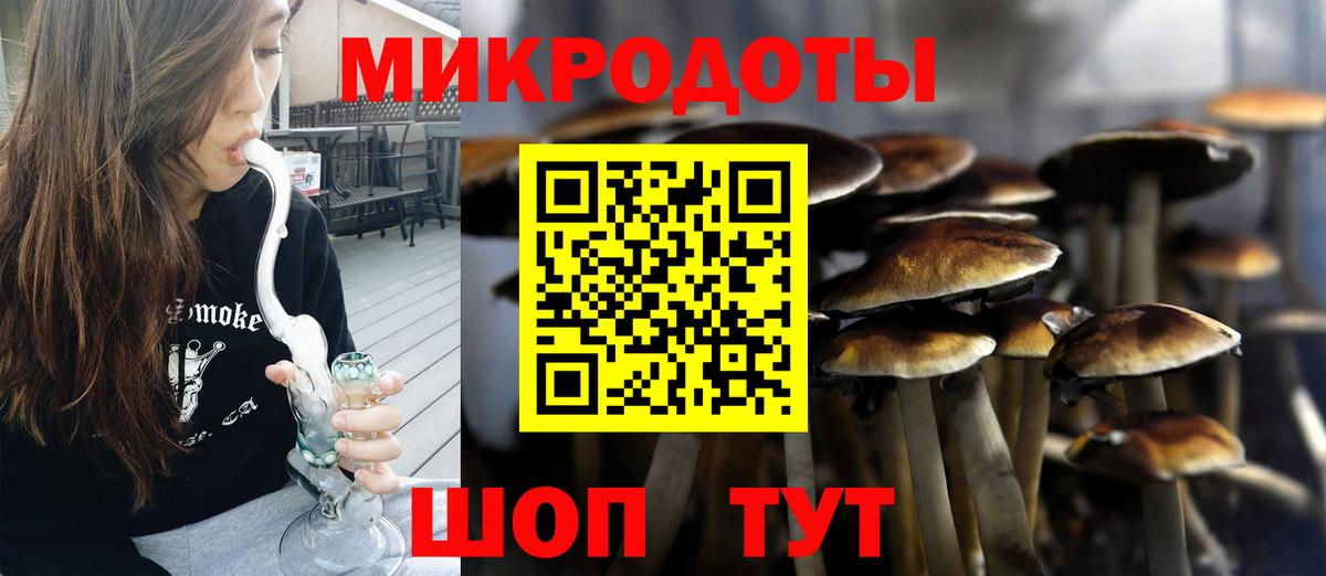 Галлюциногенные грибы прущие грибы Алейск